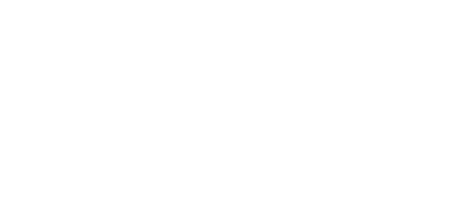 Salon Welz